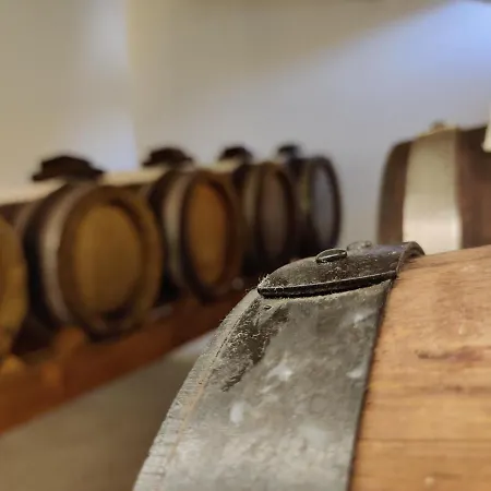 게스트하우스 La Bella Centro 모데나