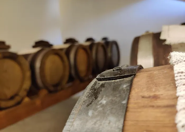 招待所 La Bella Centro 摩德纳