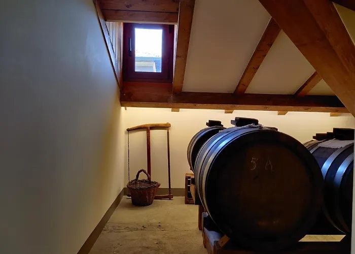 招待所 La Bella Centro 3*